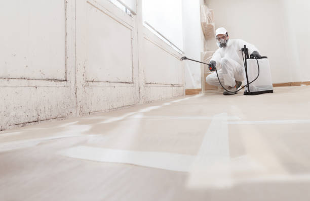 24/7 Emergency Mold Inspection experts in Church View, VA