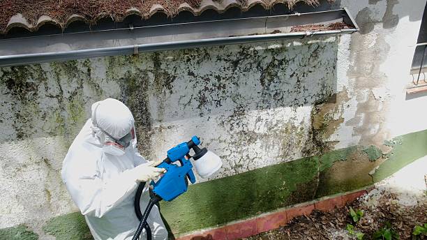 Trusted Mold Inspection service in Church View, VA - Cheap Mold Removal